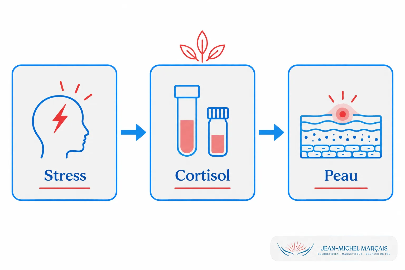 Maladies de peau et émotions : quel lien avec le stress ? 2 Illustration montrant le lien entre stress, cortisol et peau, symbole de dégradé cutané et inflammation. maladies de peau et émotions.