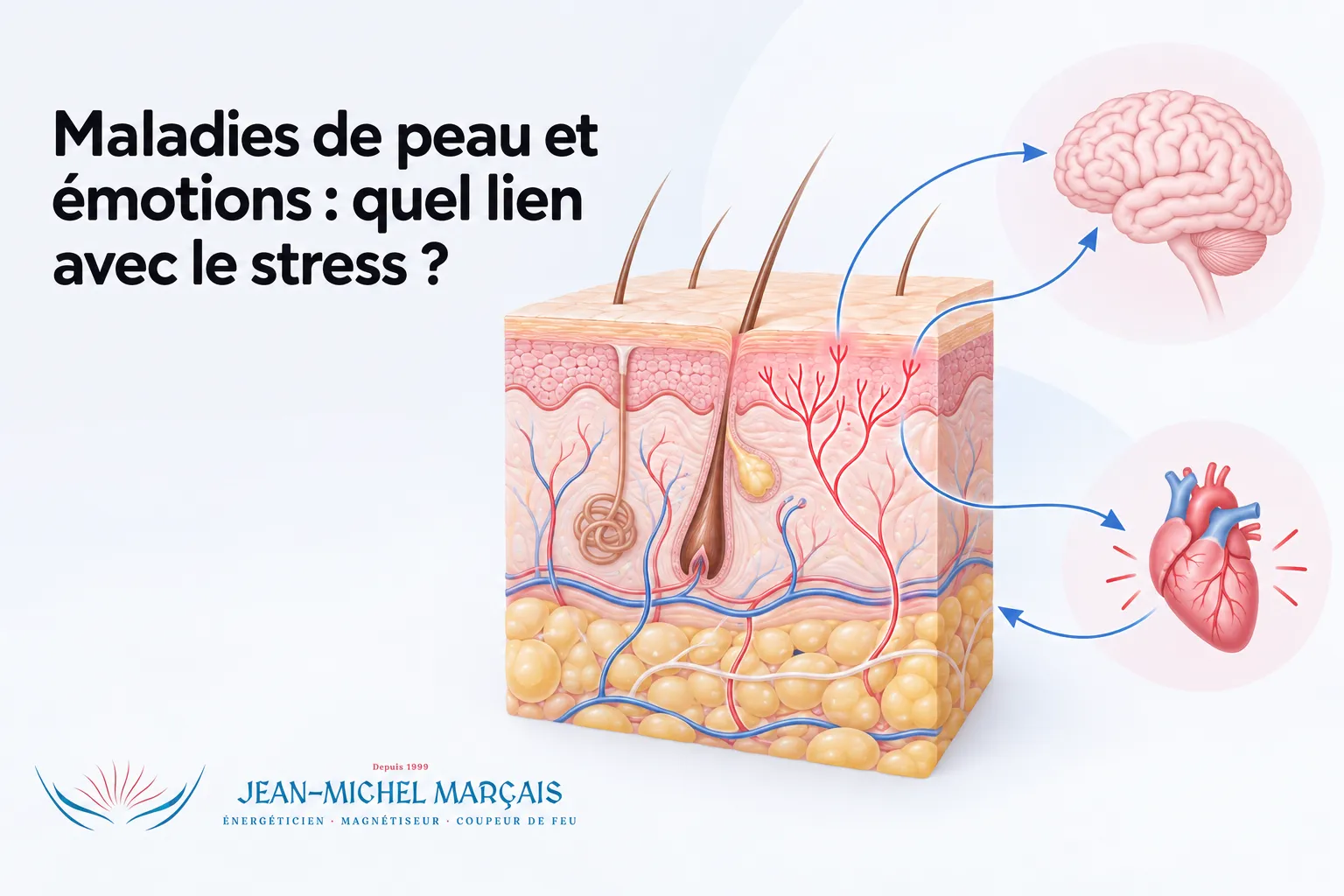 Accueil 7 Maladies de peau et émotions : lien entre stress et peau, avec illustration d’une coupe cutanée, cerveau et cœur montrant leurs interactions.